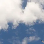 Dimora Nova