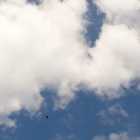 فندق مبيت وإفطار Dimora Nova غالّيبولي